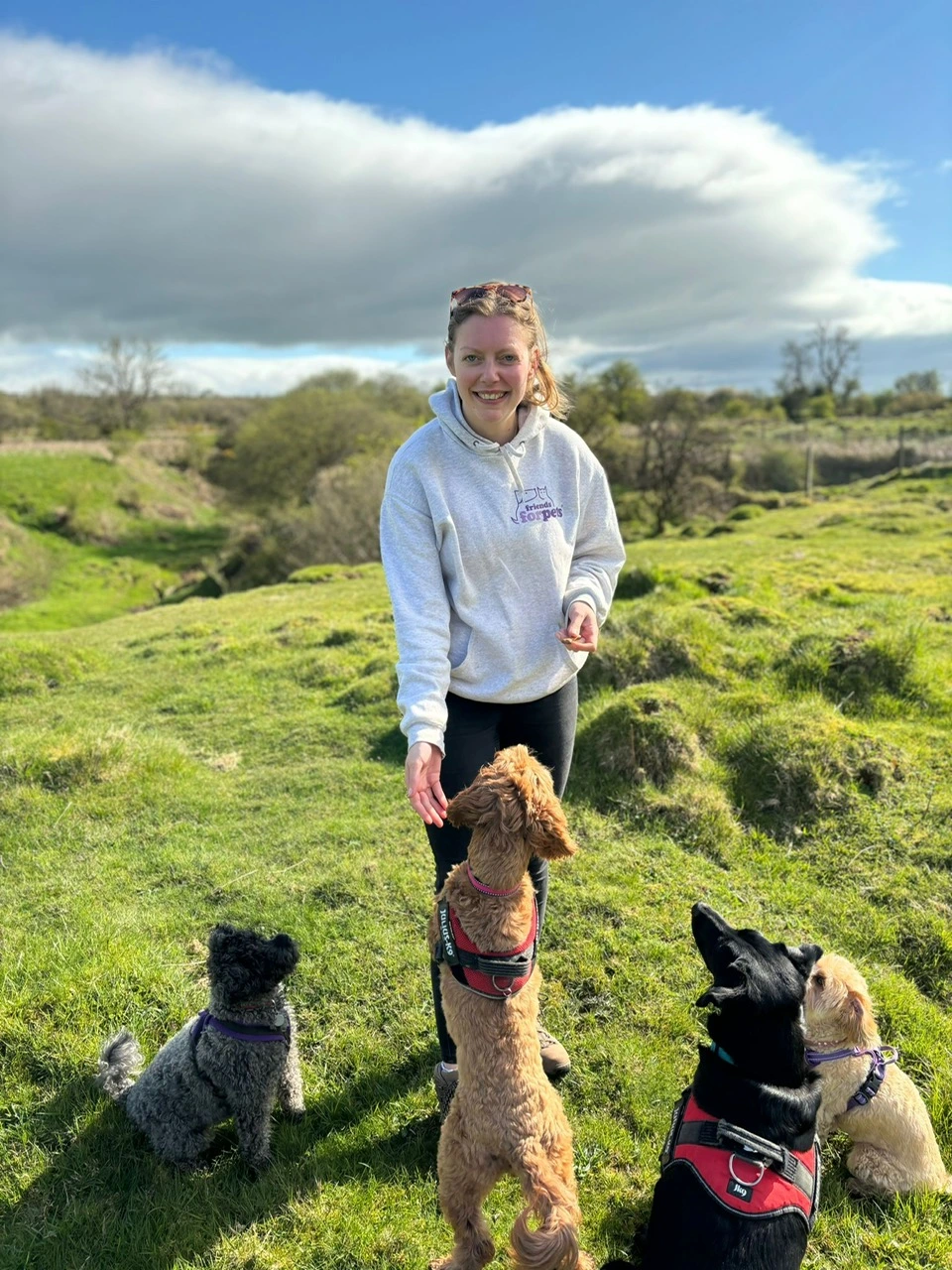 dog out on walk