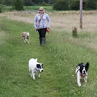 Professional Dog Walking Services