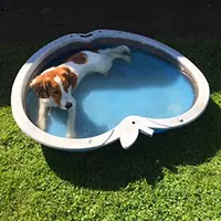House Sitting in Bath