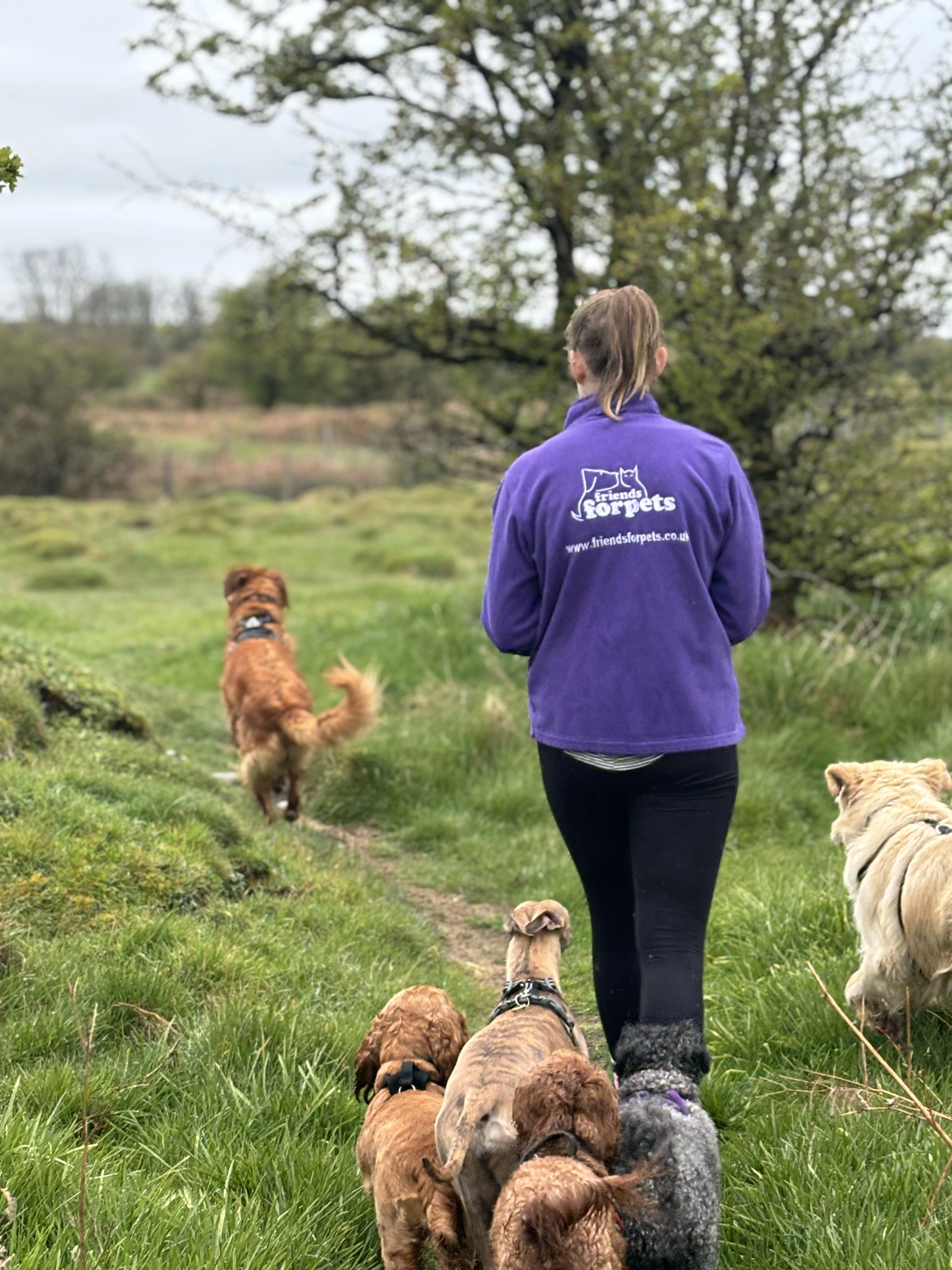 Dog Walker Cardiff