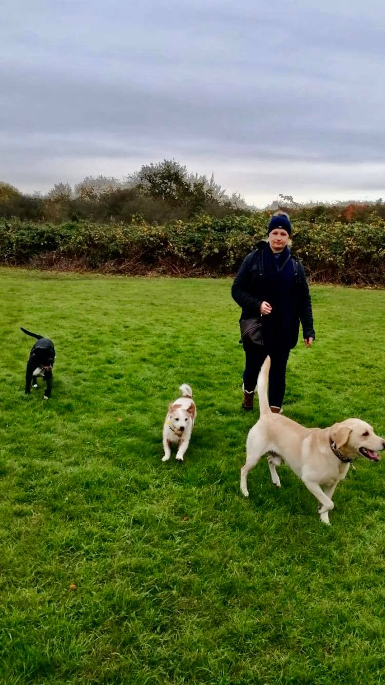 Newport Dog Walking Newport Dog Walker Friends for Pets