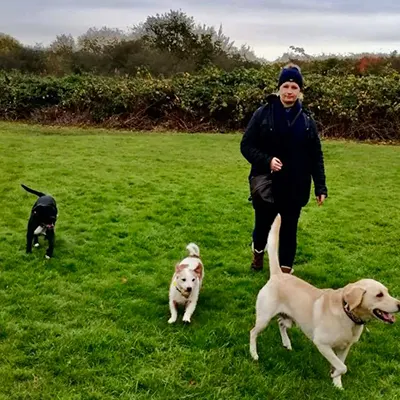 Dog Boarding Newport
