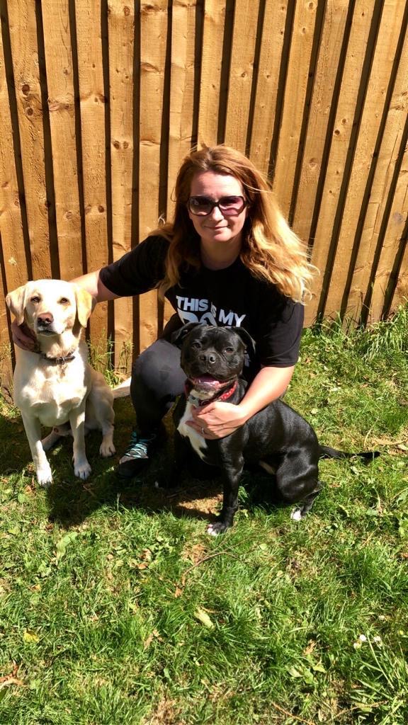 Dog Walker Cwmbran