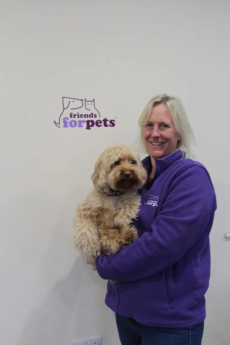 Bath Dog Walker Julia