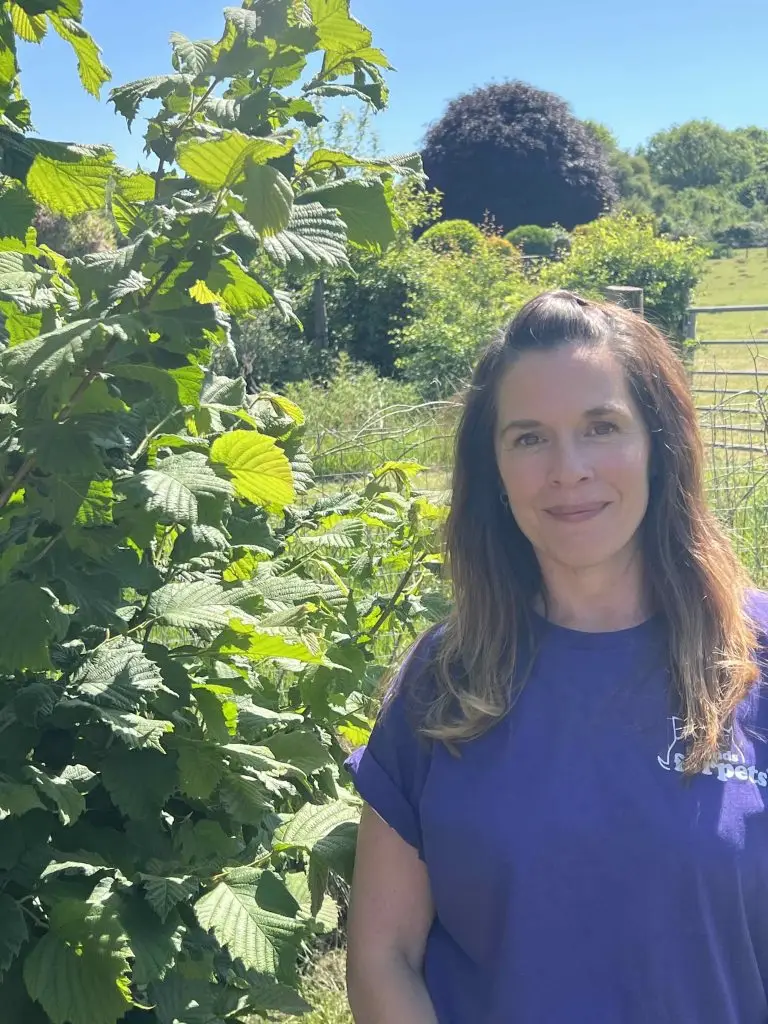 Cardiff Dog walking manager