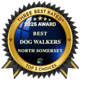 Best North Somerset Dog Walker