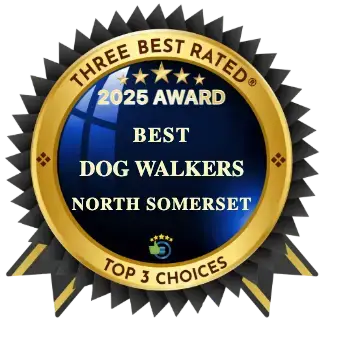 Best North Somerset Dog Walker