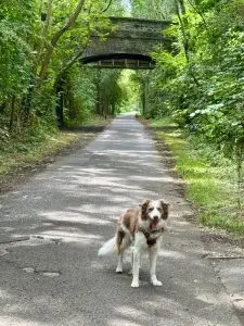 164692f5 e777 4f91 aa35 6638064c0d74